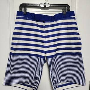 Ralph Lauren X Blue and White Striped Men's 34